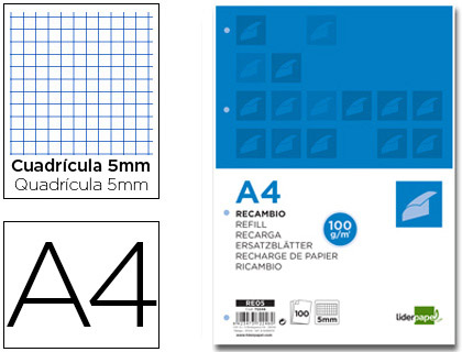 Recambio Liderpapel A4 100h 100g/m² c/5mm. 4 taladros banda 5 colores